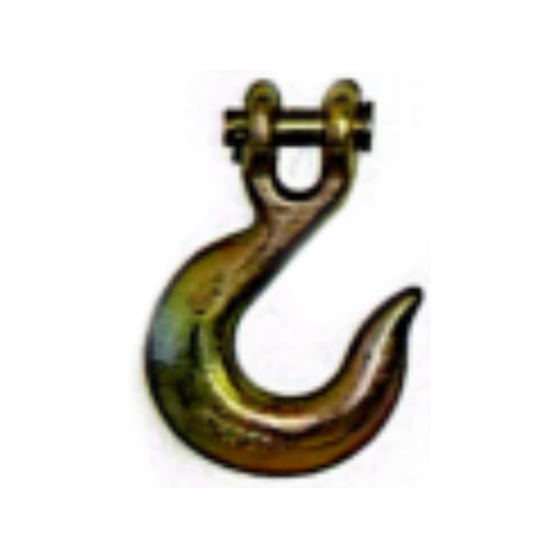 Salus Claustrum Clevis Labi Hook